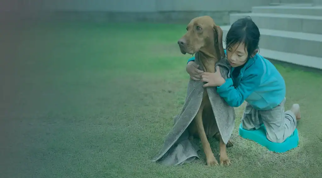 child on kneepal with dog