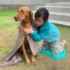 washing dog landscape