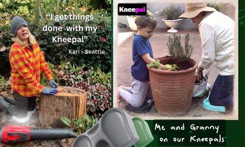 examples of kneepal in use